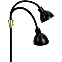 Dyberg Larsen Design golvlampa Lilje, Svart, Vardagsrum / matsal, Metall, Design, Golvlampa