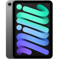 Apple iPad mini A17 Pro Wi-Fi - Surfplatta - 256 GB - 8.3" IPS (2266 x 1488) - rymdgrå