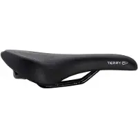 Terry Fisio Figura Gel Max Damsadel