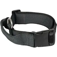 JULIUS K-9 Collar 50 Mm Hundhalsband