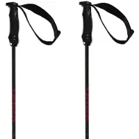 Völkl Rentastick Carbon Stavar