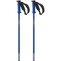 Salomon Polar Pro Stavar