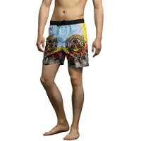 Santa Cruz Dressen Rose Crew Three Simshorts