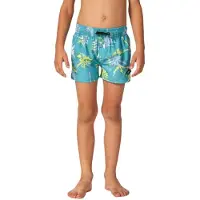 Rip Curl Mason Volley Simshorts
