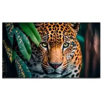 Newline Stv-4324p 43´´ 4k Lcd Skärm