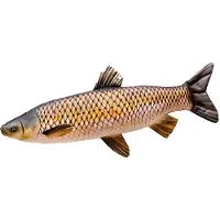 Gaby Den Gigantiska Gräskarpenkudden