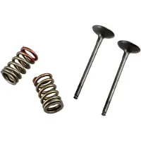 ProX Kawasaki Kx 250 F/suzuki Rmz 250 28.ses4335-1 Springs Insugningsventil