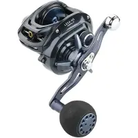 Daiwa Lexa Hd 2019 Baitcast Fiskerulle