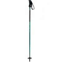 Elan Ripstick Rod W Stavar