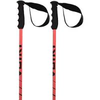 Völkl Speedstick Stavar
