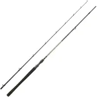 Daiwa Exceler Baitcastingspö 2 Sektioner