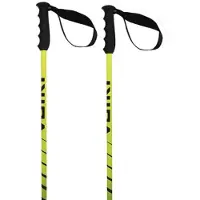 Völkl Speedstick Stavar