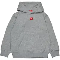 Diesel Kids J02502 Huvtröja