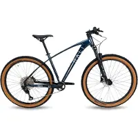 RALI Adv 0 Carbon 29´´ Slx Mtb Cykel