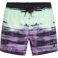 O'Neill Cali Gradient 15'' Boardshorts purple melted texture, XL