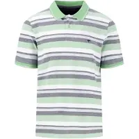 Fynch&Hatton 2-tone Multicoloured Stripe Kortärmad Polotröja