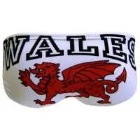 Turbo Wales Dragon Badbyxor