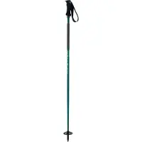 Elan Ripstick Rod W Stavar
