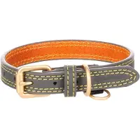 Flamingo Virginia Hundhalsband