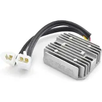 Tecnium Litiumjon-generatorregulator
