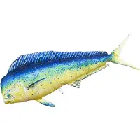 Gaby Den Gigantiska Mahi Mahi-kudden