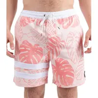 Hurley Phntm Eco Block Party Volley 17´´ Simshorts