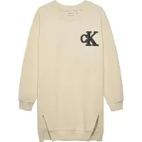 Calvin Klein Sweatshirt Dress