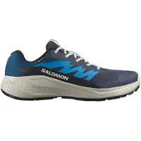 Salomon Alphaglide GTX, Löparskor, Herr, Blå