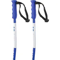 Salomon S/race Sg Juniorstavar