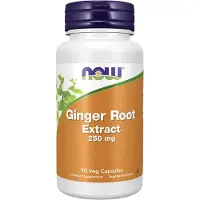 Now - Ginger Root Extract, 250mg - 90 vcaps