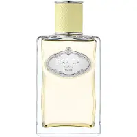 Prada Infusion Gingembre 100ml Eau De Parfum