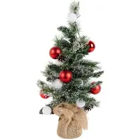 Julgran vit med röd 60 cm inkl. LED med timer - Jack