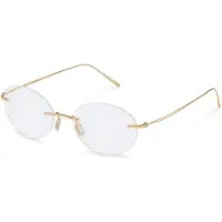 Rodenstock R7165 Oval Glasögon