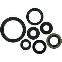 Moose Hard-parts Kawasaki Klx400/suzuki Drz400 Oljetätningssats