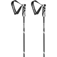 Gabel Carbon Classic Stavar