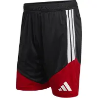 Adidas Sportbyxa 'DFB' röd / svart / vit