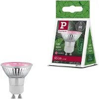 Paulmann Źródło światła prowzrostowe LED Plant GU10 3,5W 95lm 1100K 230V szkło