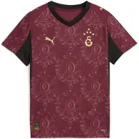 Puma Galatasaray Sk 25/26 Third Jersey Youth, storlek 152 cm