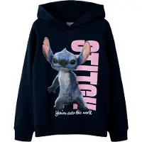 Name it Sweatshirt 'NKFnibul Stitch' blå / marinblå / rosa