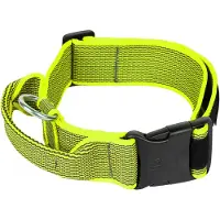 JULIUS K-9 Collar 50 Mm Hundhalsband