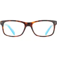 Polaroid Rektangulära Unisex Havana Glasögon