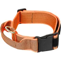 JULIUS K-9 Collar 50 Mm Hundhalsband
