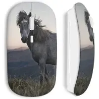 CAPACHEAP Souris Sans Fil cheval herbe