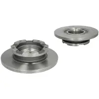 Delphi Bromsskivor BG4008 bak, full, 2 Stycke