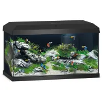 Ginza.se Juwel - Aquarium starter Primo 60 Black 2.0 LED 61x31x37cm - 60ltr