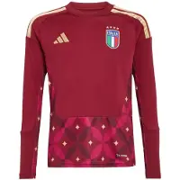 Adidas Italien 26 Goalkeeper Long Sleeve Hemmatröja Barn, storlek 164 cm