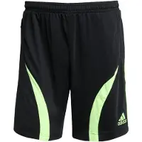 Adidas Byxa 'Teamgeist Adicolor' ljusgrön / svart