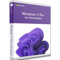 Microsoft Windows 11 Pro for Workstations