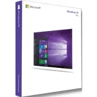 Microsoft Windows 10 Pro (OEM)
