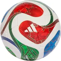 Adidas World Cup Pro Sal Fotboll
